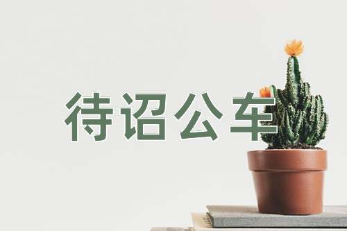 成语待诏公车