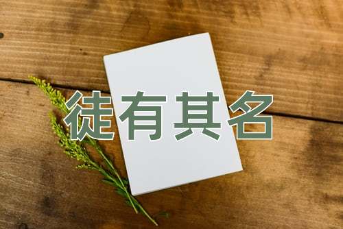 成语徒有其名
