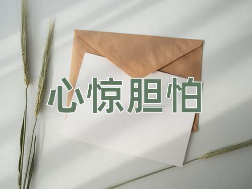 成语心惊胆怕