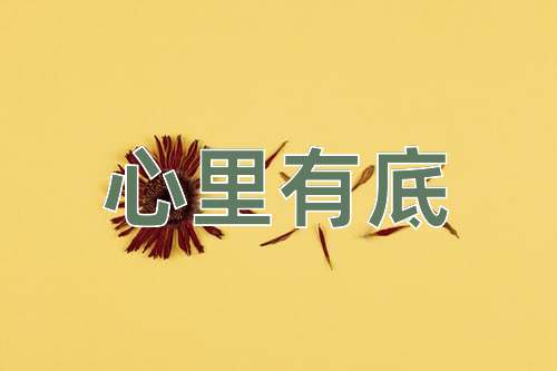 成语心里有底