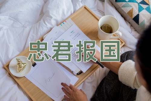 成语忠君报国