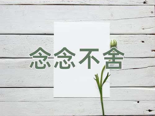 成语念念不舍