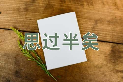 成语思过半矣