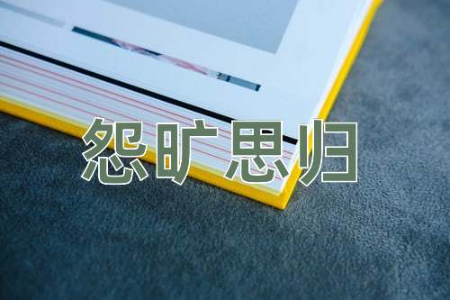 成语怨旷思归