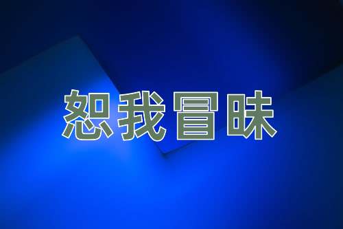 成语恕我冒昧