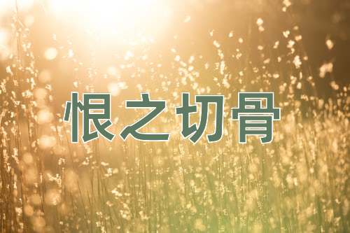 成语恨之切骨