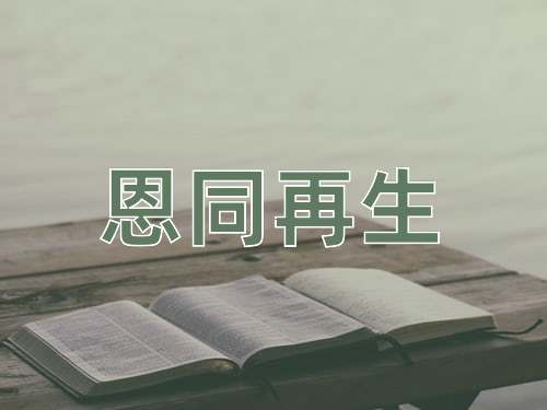 成语恩同再生