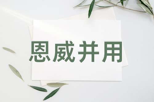 成语恩威并用