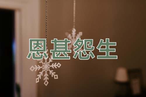 成语恩甚怨生