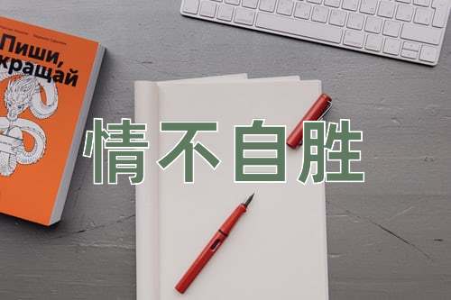 成语情不自胜
