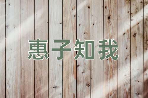 成语惠子知我