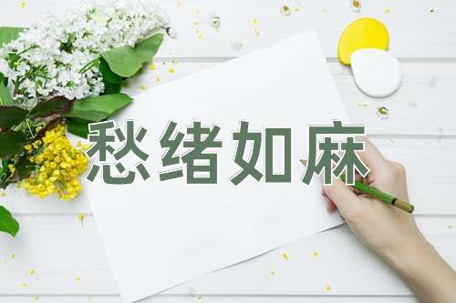 成语愁绪如麻