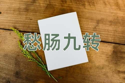 成语愁肠九转