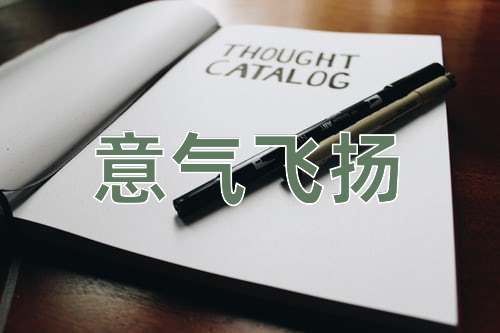 成语意气飞扬