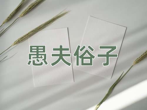 成语愚夫俗子