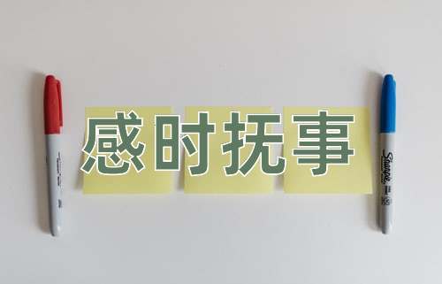 成语感时抚事
