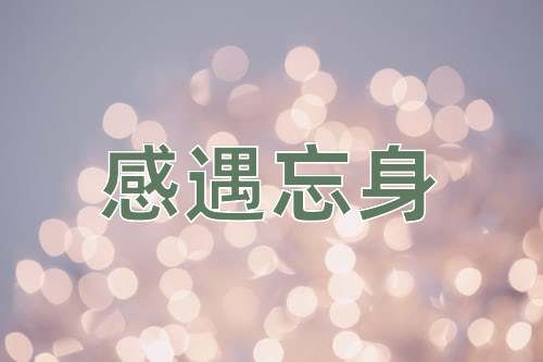 成语感遇忘身
