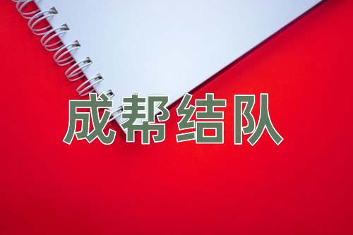 成语成帮结队