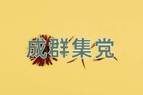 成语成群集党