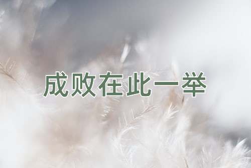 成语成败在此一举