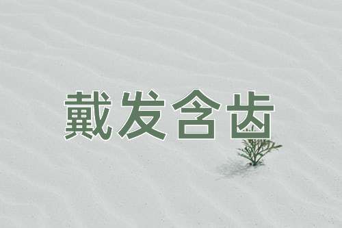 成语戴发含齿