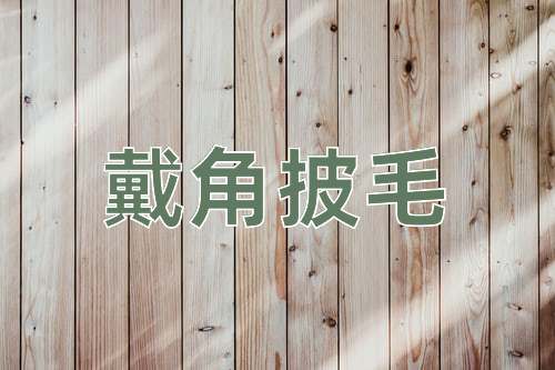 成语戴角披毛