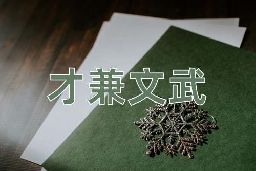 成语才兼文武