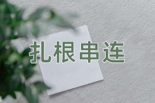 成语扎根串连