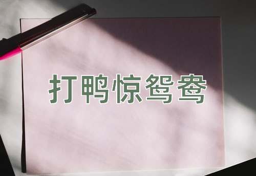 成语打鸭惊鸳鸯