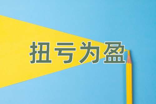 成语扭亏为盈
