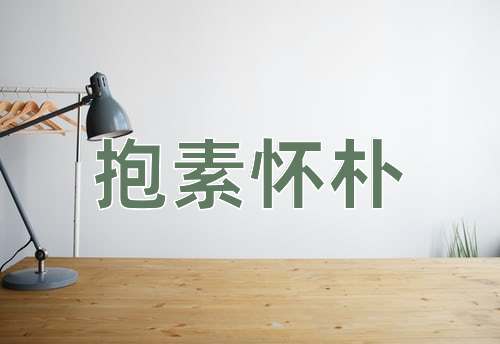 成语抱素怀朴