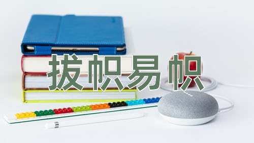 成语拔帜易帜