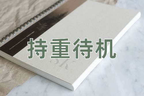 成语持重待机