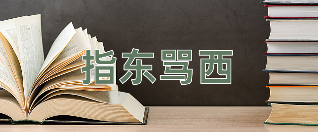 成语指东骂西