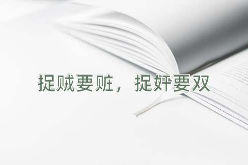 成语捉贼要赃，捉奸要双
