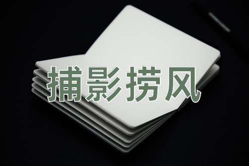 成语捕影捞风