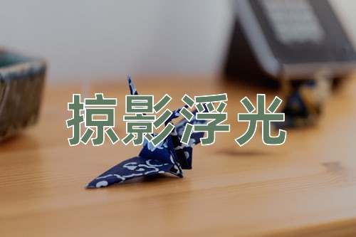 成语掠影浮光
