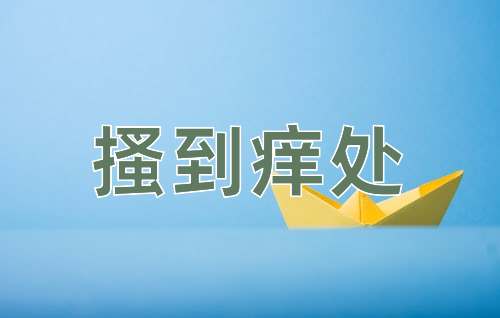 成语搔到痒处