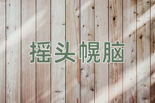 成语摇头幌脑