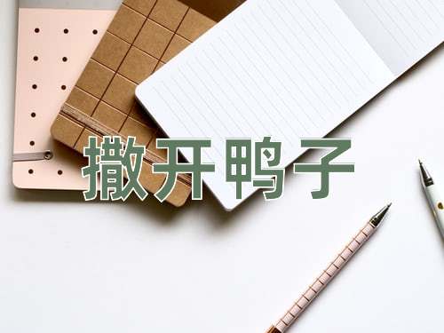 成语撒开鸭子