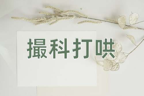 成语撮科打哄