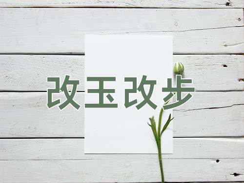 成语改玉改步