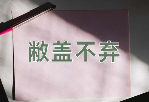 成语敝盖不弃