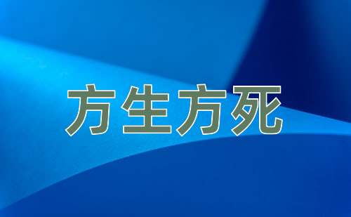 成语方生方死