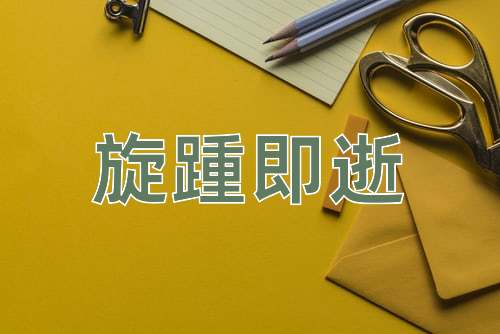 成语旋踵即逝