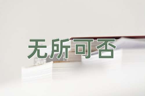 成语无所可否