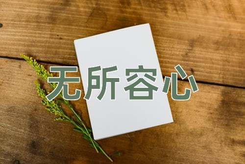 成语无所容心