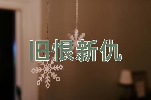 成语旧恨新仇