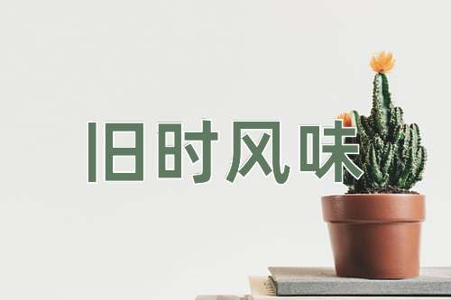 成语旧时风味