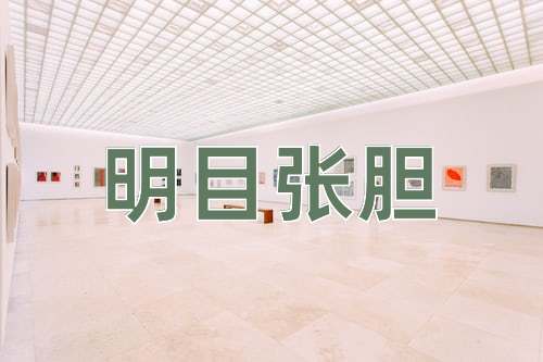 成语明目张胆